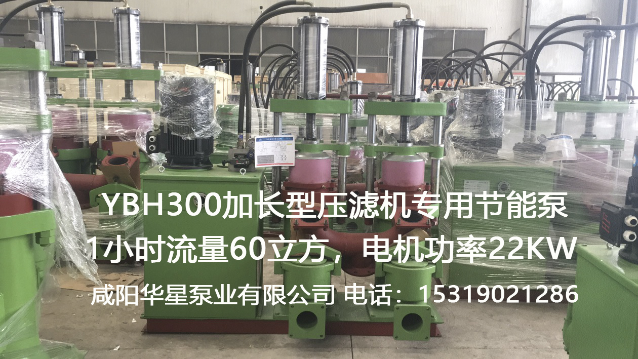 YBH300加長(zhǎng)型壓濾機(jī)專(zhuān)用節(jié)能泵